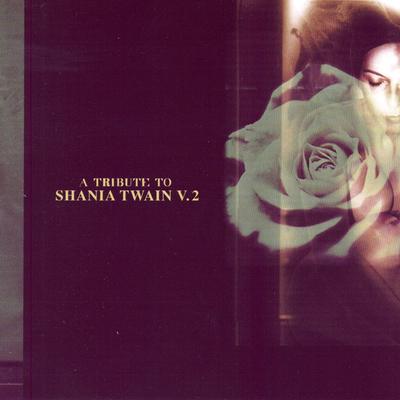 A Tribute To Shania Twain, V.2's cover
