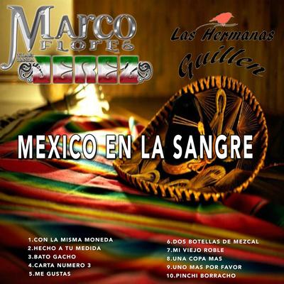 Mexico En La Sangre's cover