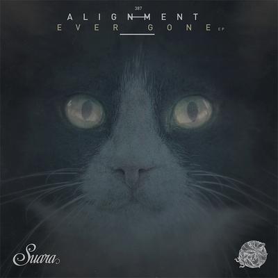 Vision By Alignment's cover