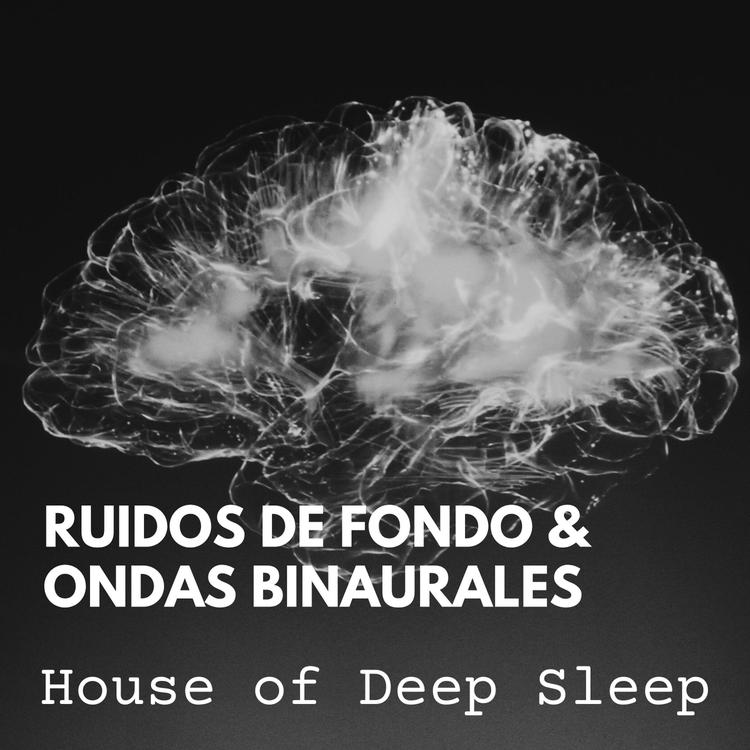 House of Deep Sleep's avatar image