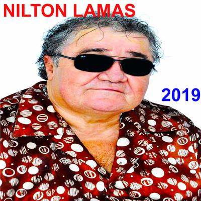 O Homem Que Bate Numa Mulher By Nilton Lamas's cover