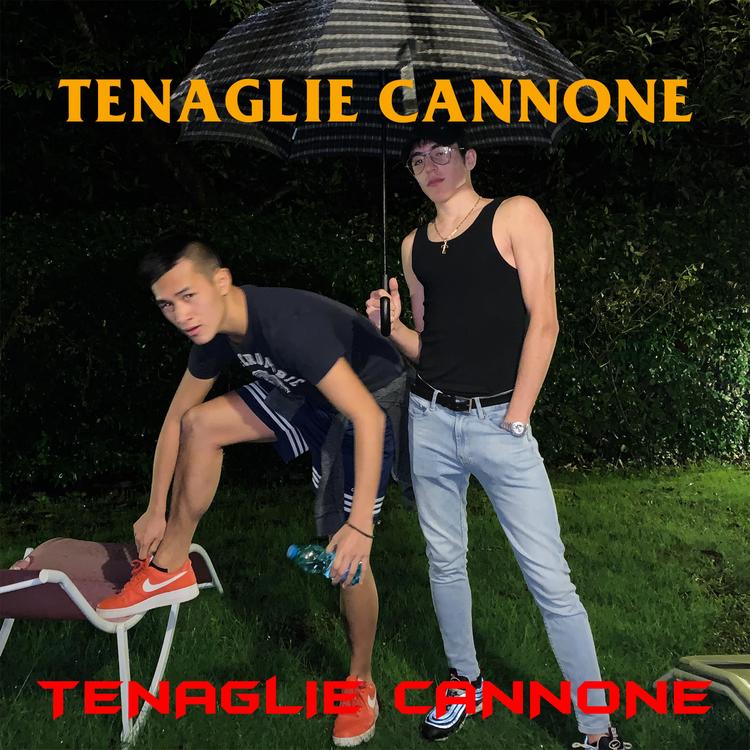 Tenaglie Cannone's avatar image