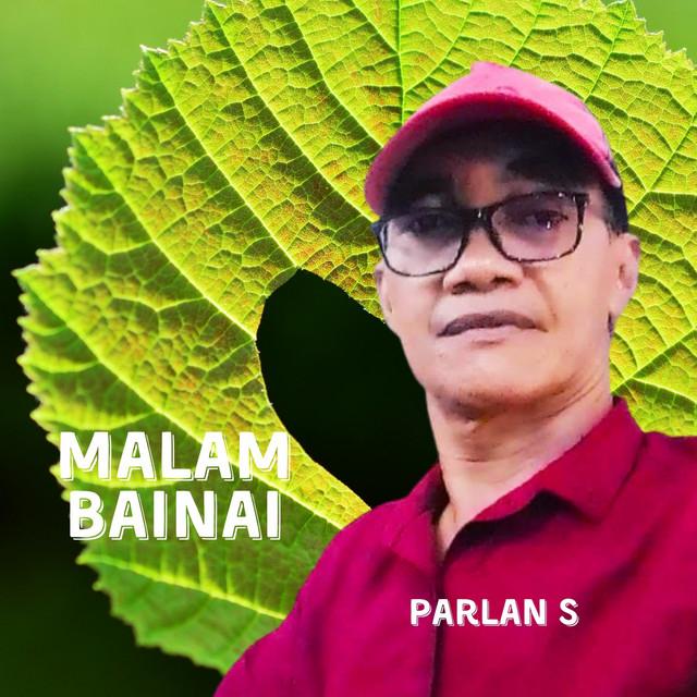 Parlan S's avatar image