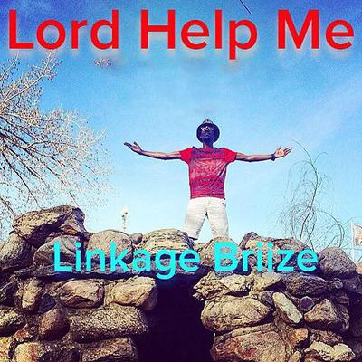 Linkage Briize's cover