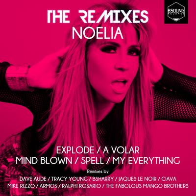 The Remixes's cover