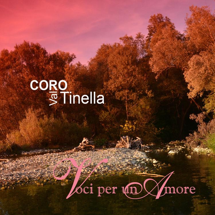 Coro Val Tinella's avatar image