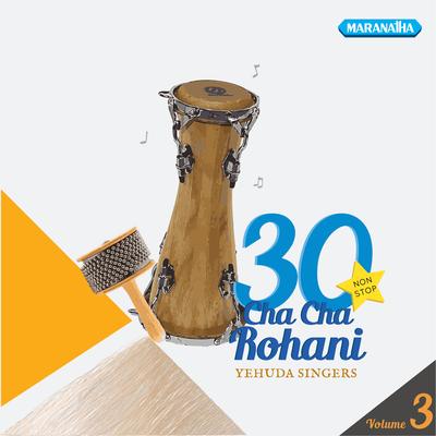 30 Cha Cha Rohani, Vol. 3's cover