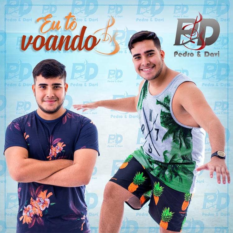 Pedro e Davi's avatar image