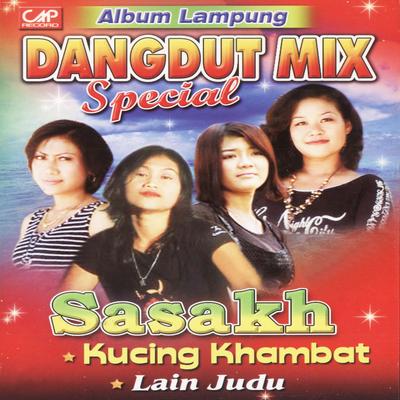 Remix Dangdut Lampung's cover