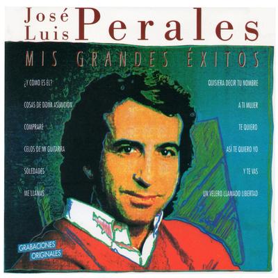 Quisiera decir tu nombre By José Luis Perales's cover