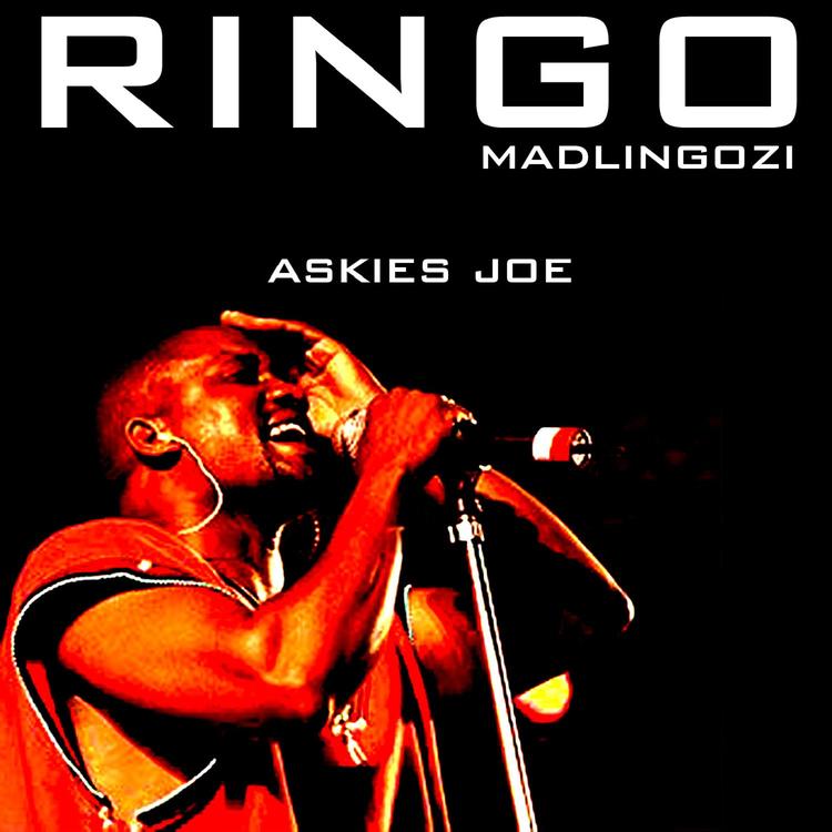 Ringo Madlingozi's avatar image