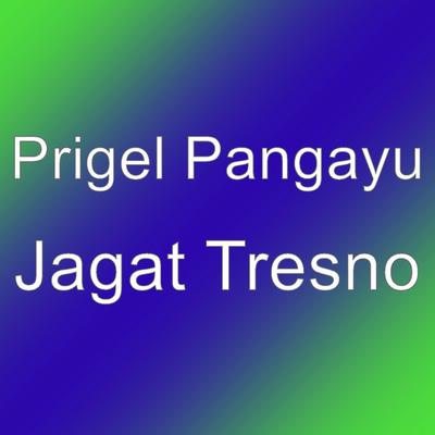 Prigel Pangayu's cover