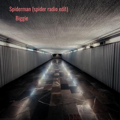 Spiderman (Spider Radio Edit)'s cover