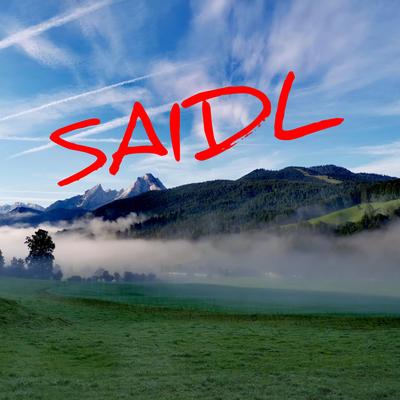 Saidl's cover