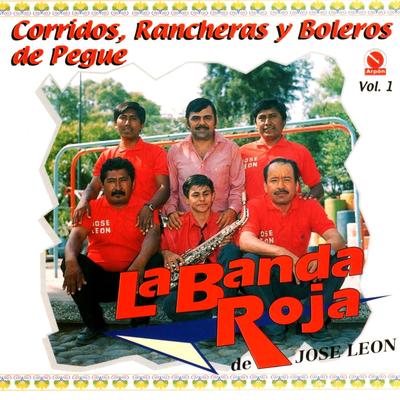 Corridos, Rancheras y Boleros de Pegue, Vol. 1's cover