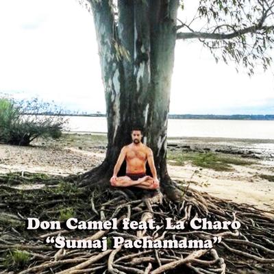 Sumaj Pachamama By Don Camel, La Charo's cover