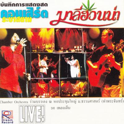 ลมเพ-ลมพัด (Live)'s cover