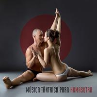 massagem musica's avatar cover