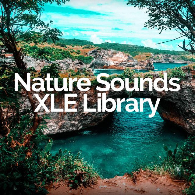 Nature Sounds XLE Library's avatar image