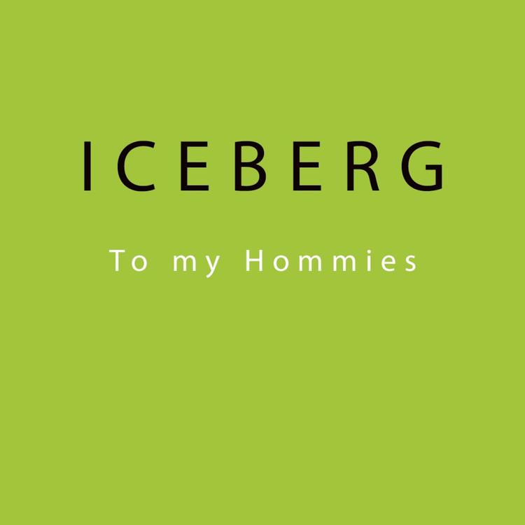 IceBerg's avatar image
