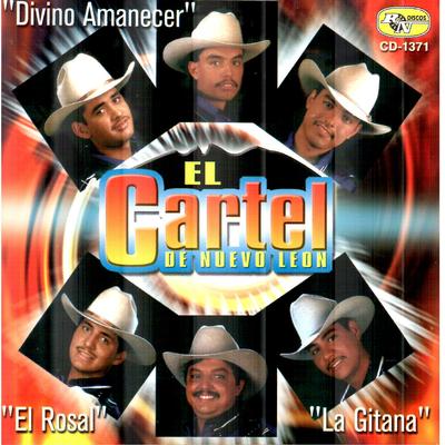 El Cartel de Nuevo Leon's cover