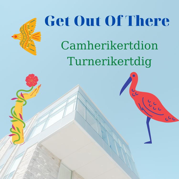 Camherikertdion Turnerikertdig's avatar image