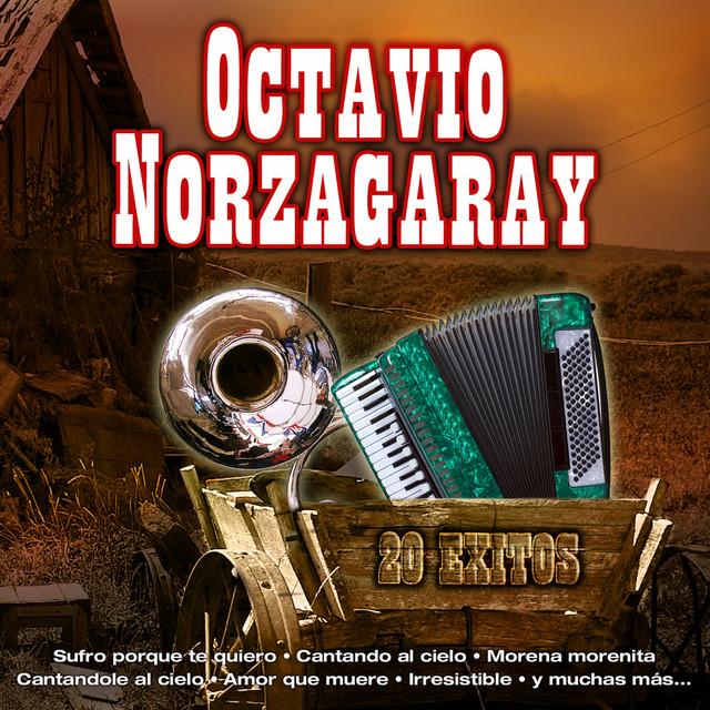 Octavio Norzagaray's avatar image