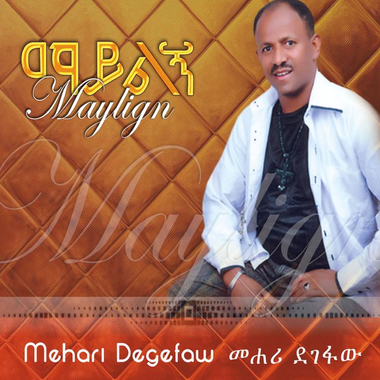 Mehari Degefaw's avatar image