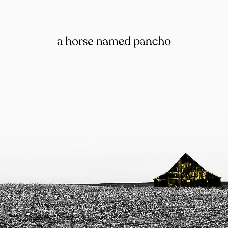 A Horse Named Pancho's avatar image