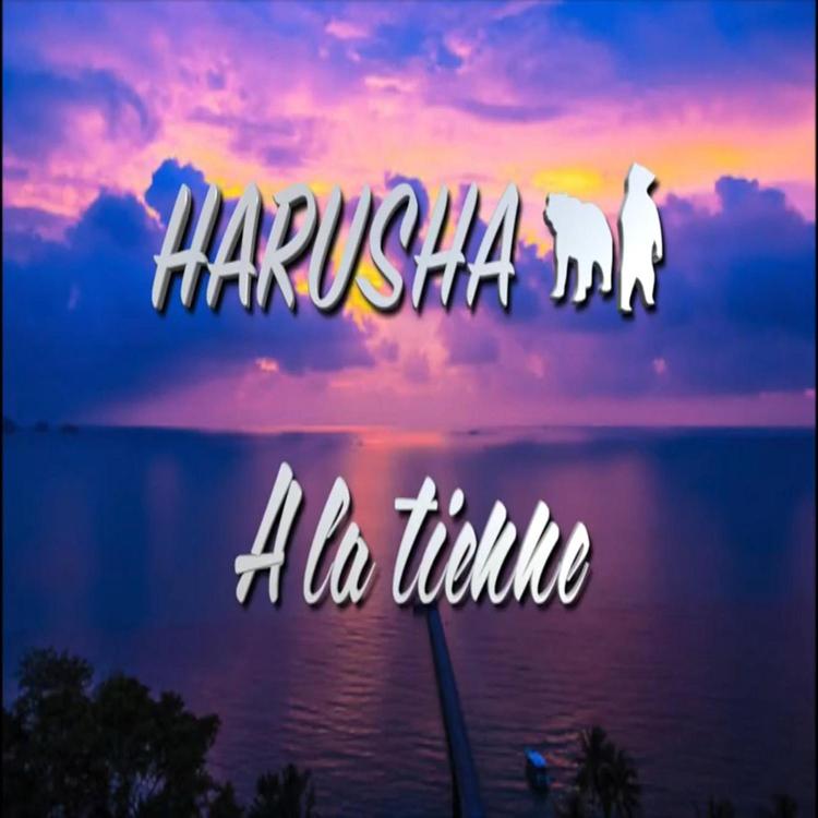 Harusha Gang's avatar image