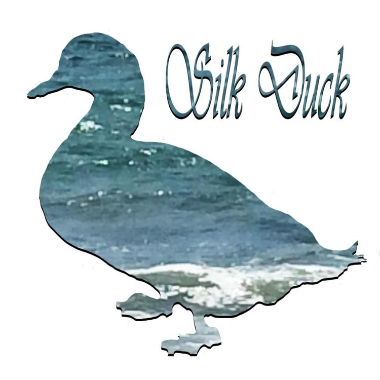 Silk Duck's avatar image