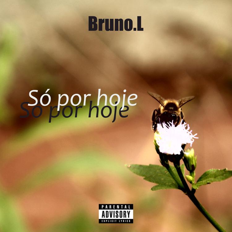 Bruno.L's avatar image