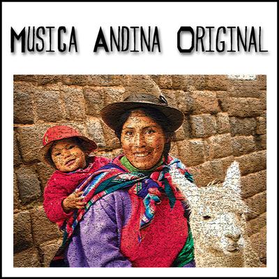 Musica Andina Original's cover