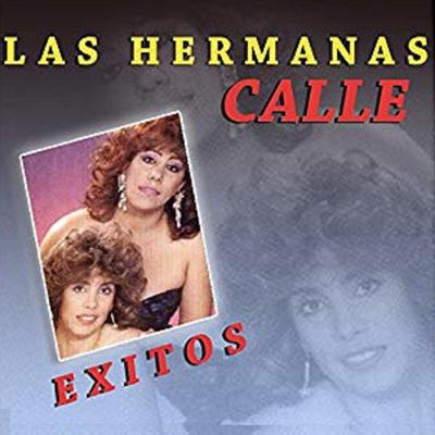 Exitos las Hermanas Calle's cover