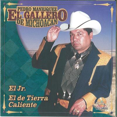 El Gallero De Michoacan's cover