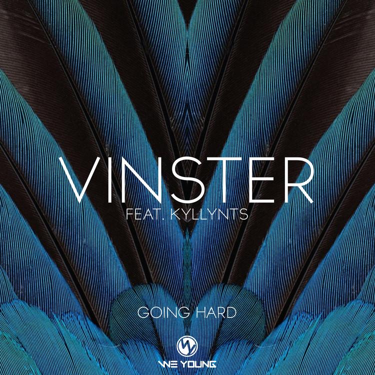 VINSTER's avatar image