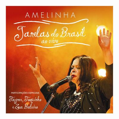 Felicidade (Ao Vivo) By Amelinha's cover
