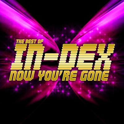 Now You're Gone By In-Dex's cover