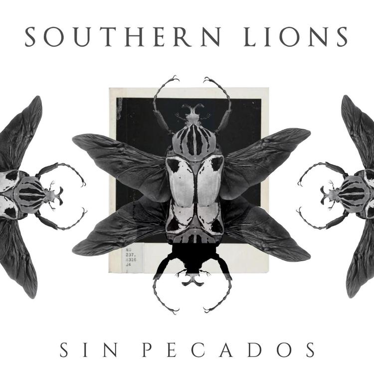 Southern Lions's avatar image