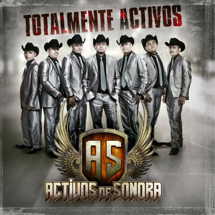 Activos De Sonora's avatar image