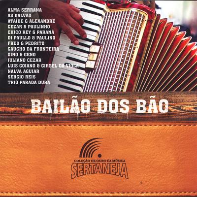 Bailão Dos Bão's cover