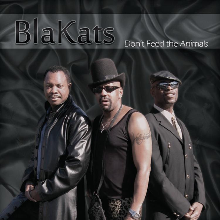 BlaKats's avatar image