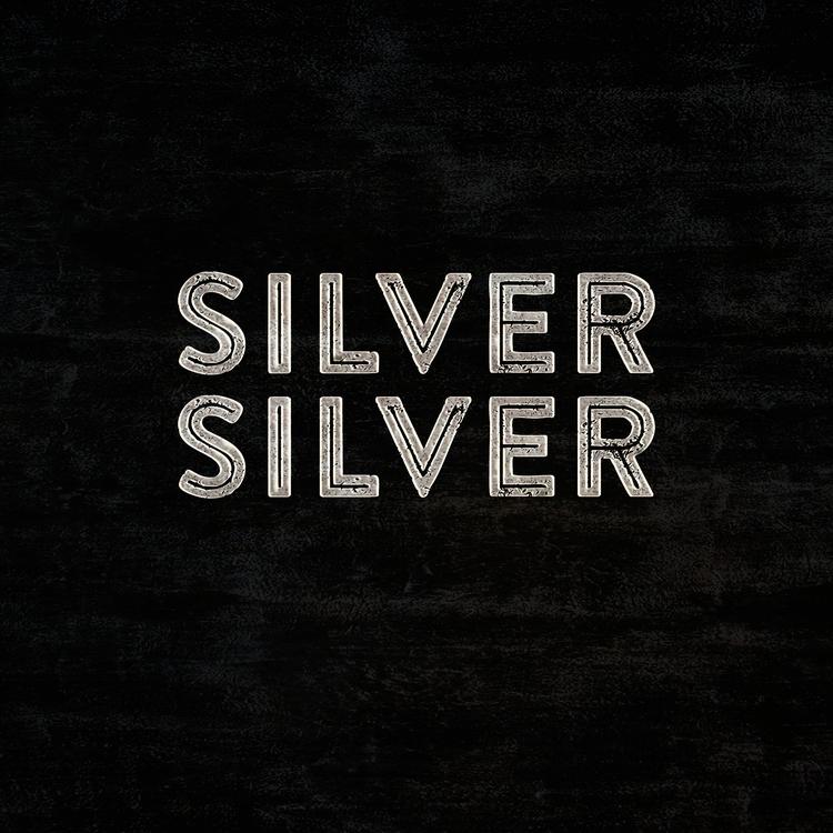 Silver Silver's avatar image