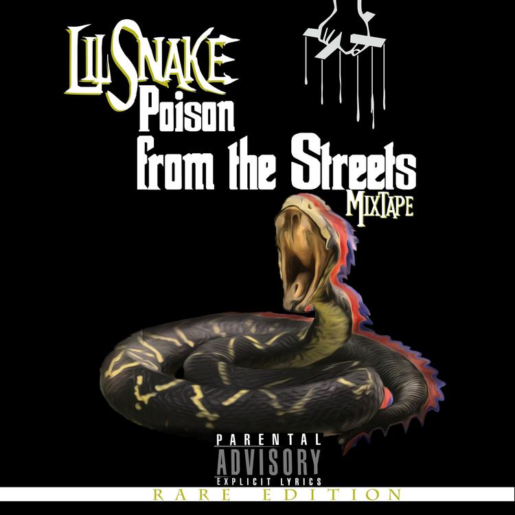 LILSNAKE's avatar image