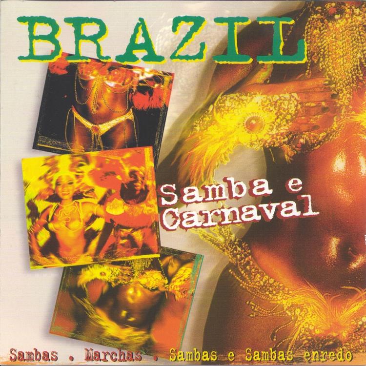 Samba e Carnaval's avatar image