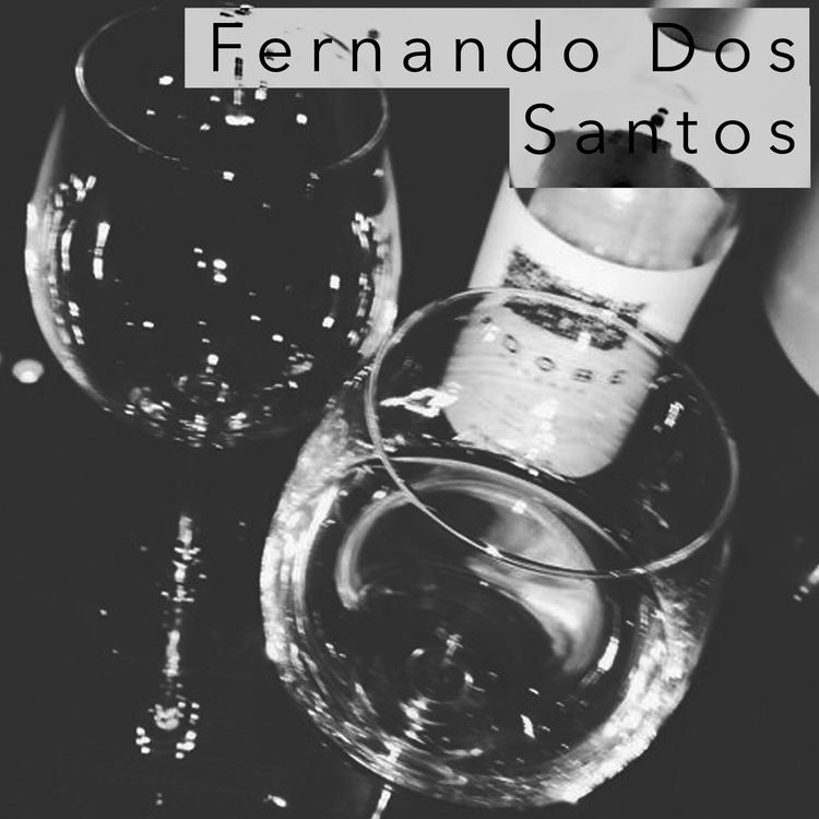 Fernando Dos Santos's avatar image