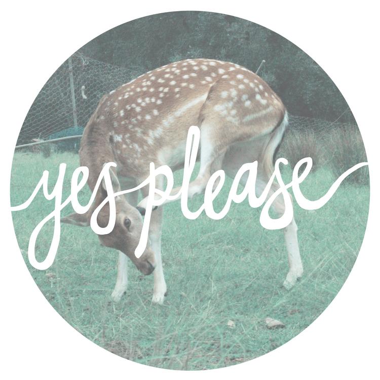 Yes Please's avatar image