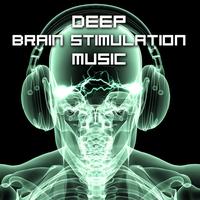 Brain Study Music Specialists's avatar cover