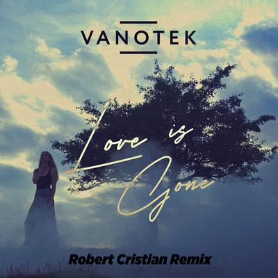 Love Is Gone (Robert Cristian Remix) By Robert Cristian, Vanotek's cover