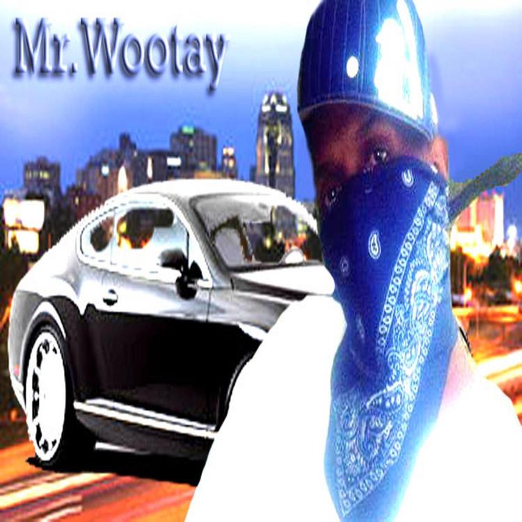 Mr. Wootay's avatar image